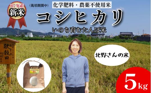 【令和7年産新米】米 コシヒカリ 5kg 天皇献上米  (栽培期間中）化学肥料・農薬不使用米 白米 精米 こめ  ご飯 備蓄米 ごはん 新米  環境 に優しい 小松島市 上王子特質米 5kg