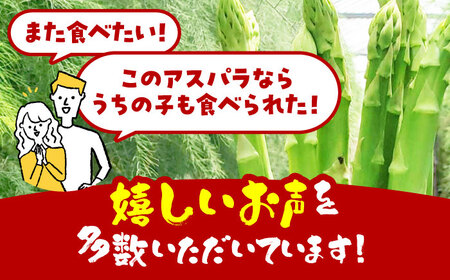 【3から8月発送】 アスパラ 700g（L〜2Lサイズ）　【えぐちファーム】[HDE001]