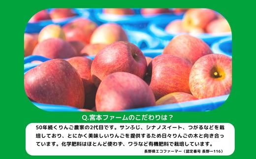 りんご シナノスイート 秀 5kg 令和8年度収穫分 沖縄県への配送不可 2026年10月上旬頃から2026年10月中旬頃まで順次発送予定 宮本ファーム エコファーマー 減農薬栽培 長野県 飯綱町 [