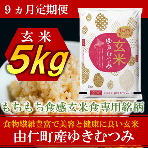 【９カ月定期】令和８年産　ゆきむつみ　５kg　計45㎏　(TT14)