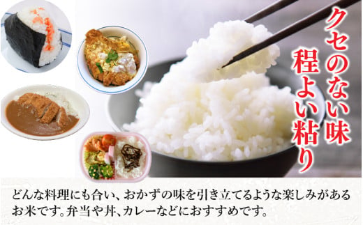 【先行予約】【令和8年産】定期便 ≪3ヶ月連続お届け≫ 化学肥料不使用 特別栽培米 あきさかり 精米 5kg × 3回（合計15kg） / 白米 米 福井県あわら市産 美味しい 特別栽培米 減農薬 安