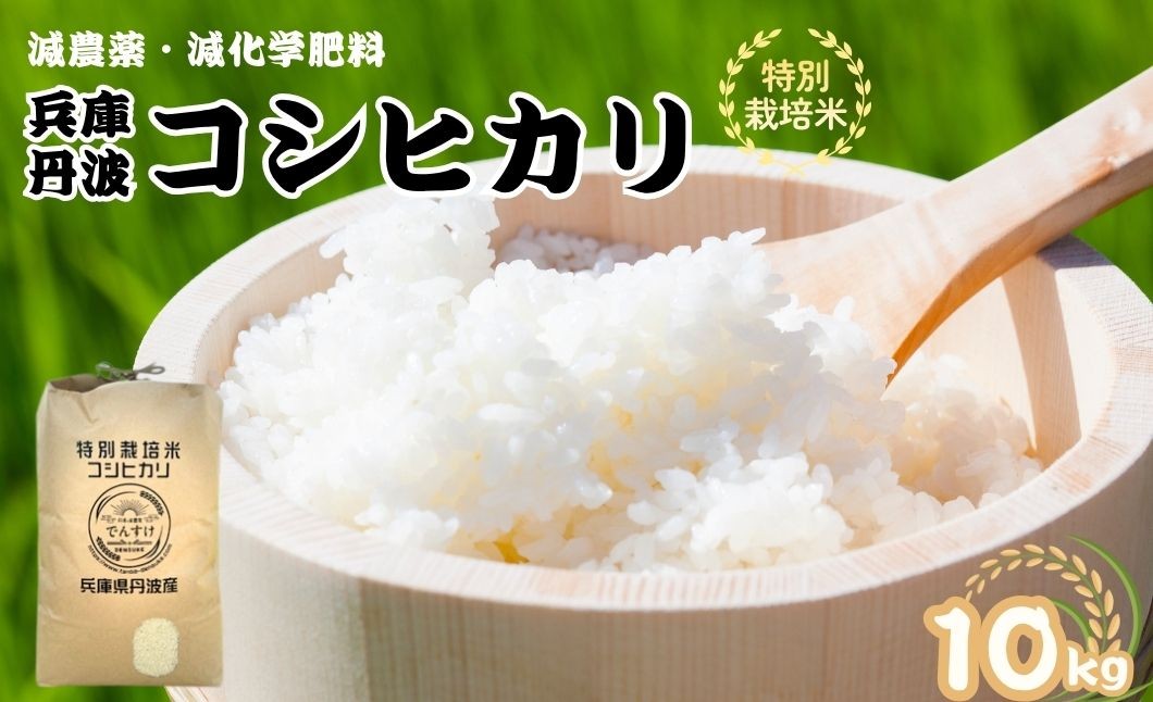 
                  特別栽培米　丹波コシヒカリ　10㎏ 減農薬 こしひかり 米 こめ コメ お米
                