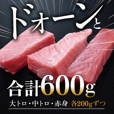 ふるさと納税 越前市 絶品!本マグロ セット 大トロ 200g + 中トロ 200g + 赤身 200g |  | 01