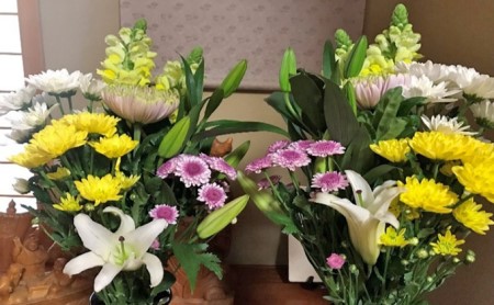 定期便  12回 仏花 お花  生花 組花 2束  |    