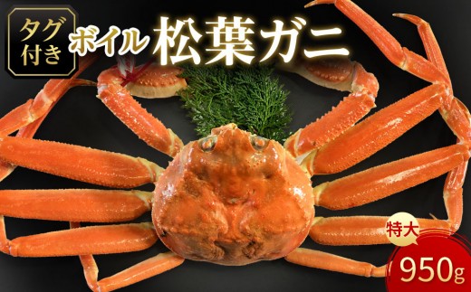 【魚倉】タグ付きボイル松葉ガニ(特大950ｇ)｜国産 タグ付き ズワイガニ 松葉ガニ カニ 蟹 松葉　かに ボイル カニ鍋 かに鍋 鍋 かにしゃぶ かにみそ ずわいがに　ずわい蟹　ずわい　ズワイ 松葉がに　ボイル　蟹料理　かに料理　カニ料理　茹で　松葉　冬の味覚の王様　ボイル済　海鮮　冬の味覚　鮮度抜群　おとり寄せ　高級食材　魚介類　食べ応え　期間限定 送料無料 鳥取県 三朝町