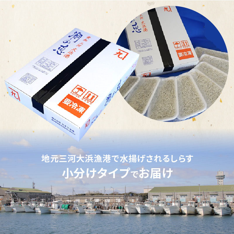 【半年定期便 隔月 全3回】便利！ しらす屋のしらす干し 小分けタイプ 630ｇ（70g×9p） 魚介類 しらす シラス 国産 海の幸 ご飯のお供 おつまみ しらす丼 グルメ ギフト 贈り物 やみつき