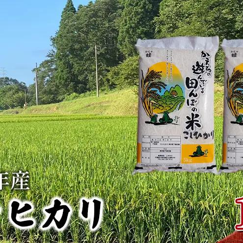 コシヒカリ 無洗米 令和7年 千葉県産 コシヒカリ【10kg】