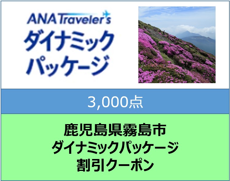 鹿児島県霧島市ANAトラベラーズダイナミックパッケージ割引クーポン（3000点分） K-544-A