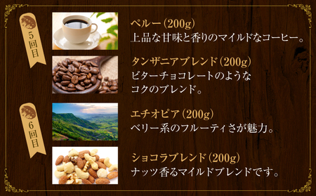 【6か月定期便】世界流通量上位5％スペシャルティコーヒー【粉】
