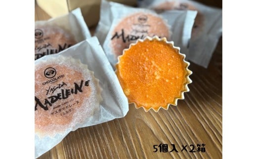 しょこら亭 ヤスダマドレーヌ（ミルク）5個入×2セット お菓子 菓子 スイーツ 贈答 1Z29012