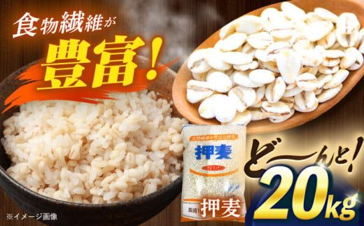 【最速発送】押麦「長崎100年麦 御島裸」1kg×20袋 計20kg / 押麦 押し麦 はだか麦 麦ごはん 雑穀 雑穀米 / 諫早市 / 有限会社伊東精麦 [AHBU003] スピード 最短 最速 発