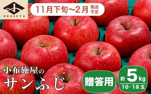 サンふじ 贈答用 約5kg 10～18玉 ［小布施屋］ りんご 林檎 リンゴ  果物 フルーツ 令和8年産【2026年11月下旬～2027年2月発送】［A-209］