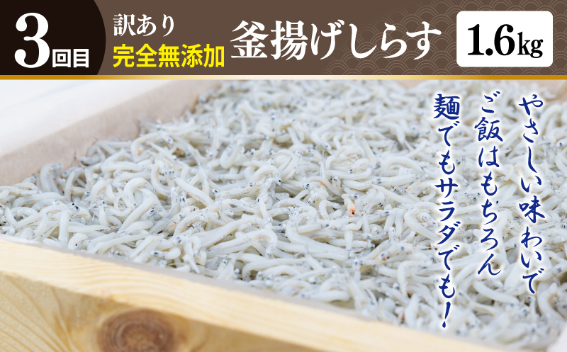 店主セレクト ハンバーグ／しらす 食べ比べ 定期便 全3回【毎月配送コース】 G1245_イメージ4