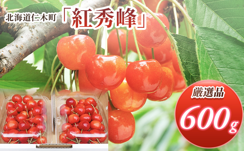 北海道 仁木町産 厳選品 さくらんぼ 紅秀峰 600g(300g×2パック) Lサイズ以上  旬 桜桃 産地直送 サクランボ チェリー フルーツ 果物 果物類 ギフト 仁木町 仁木 [松山商店]