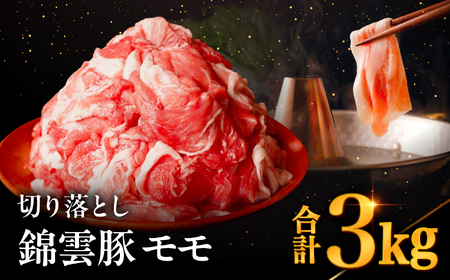 高級 ブランド 錦雲豚 モモ 切り落とし 3kg | お肉 肉 おにく 豚 ぶた 豚肉 もも モモ肉 もも肉 豚もも 切落し 大分県 中津市