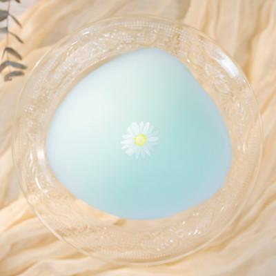 ふるさと納税 朝霞市 人工乳房 マーガレットパッド・Lサイズ |  | 01