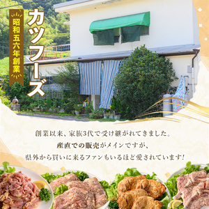 ＜数量限定＞ 鶏モモ 親鳥 スパイス カット済 (計750g・250g×3P) 国産 もも 小分け 鶏肉 味付き おつまみ おかず 総菜 簡単調理 BBQ バーベキュー 冷凍 【man209】【カツフ