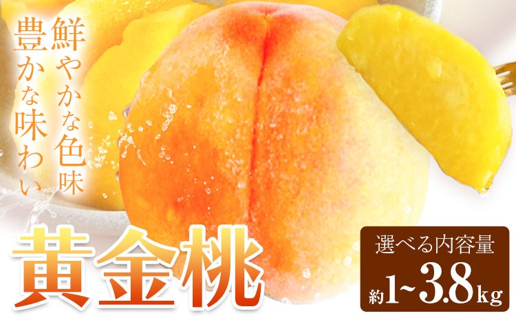 
                  黄金桃 選べる約1kg 約2kg 約3.8kg 花田青果株式会社《8月下旬-9月上旬頃出荷》岡山県 浅口市 黄桃 桃 もも 旬 フルーツ 果物 【配送不可地域あり】 （離島）
                