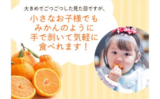 ＜先行予約＞家庭用 不知火 4kg+150g（傷み補償分）【デコポンと同品種・人気の春みかん】【訳あり】＜2月より発送＞ ※北海道・沖縄・離島への配送不可 フルーツ 果物 くだもの 柑橘 和歌山【ik