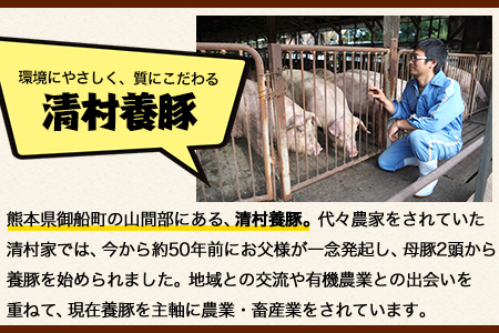 ワイルド塊BBQセット 計1450g 清村養豚 《30日以内に出荷予定(土日祝除く)》  熊本県 御船町 豚 肉 冷凍 小分け カタ モモ バラ---sm_fkymwibbq_30d_23_13500_1450g---