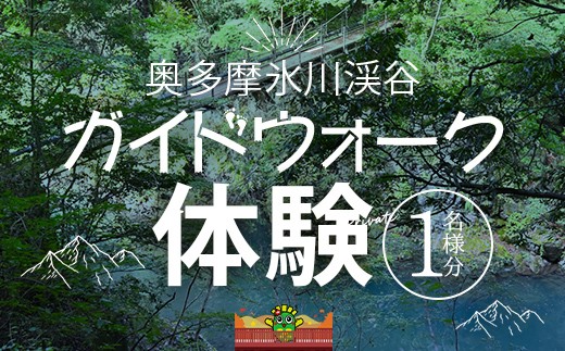 奥多摩 氷川渓谷プライベートガイドウォーク体験利用券1名様分　／氷川渓谷 ガイドツアー アウトドア 観光 旅行 アクティビティ自然 自然体験 体験 ウォーキング 川 かわ　東京都奥多摩町