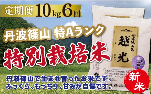 〈定期便 10kg ( 5kg × 2袋 ) 6回 特A 減農薬〉令和8年産 丹波篠山産 特別栽培米 コシヒカリ 越光  | 丹波篠山 お米 おこめ ブランド米 ごはん ご飯 白米 米 コメ こめ 精米 精白米 おいしい米 美味しいお米 兵庫県 お取り寄せ こしひかり コシヒカリ