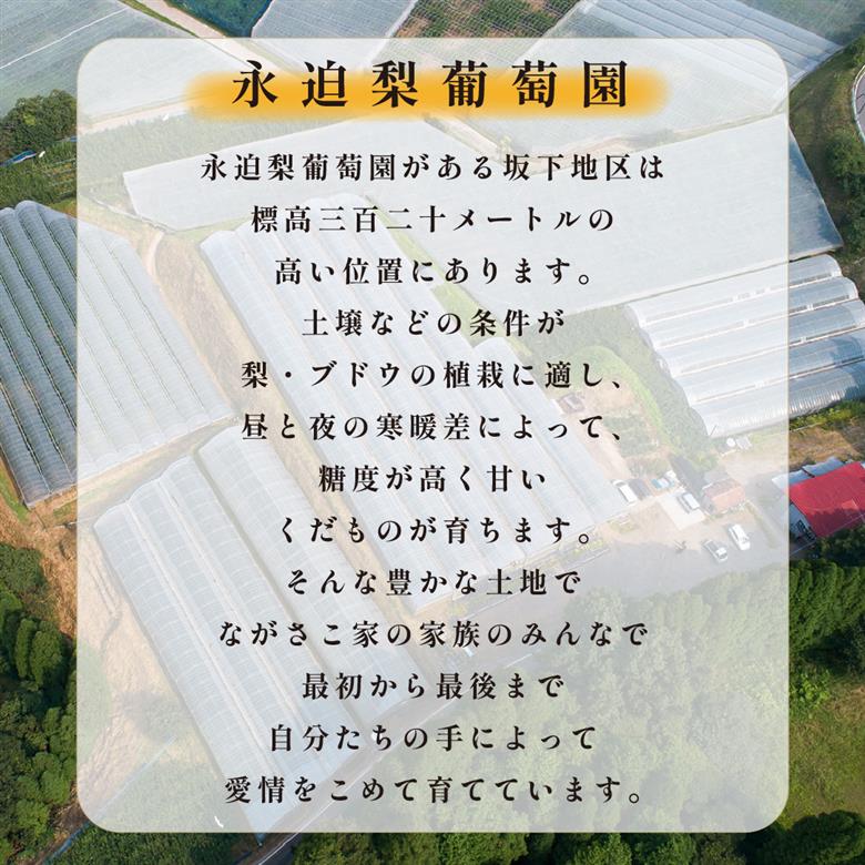 【2026年発送 】旬の梨詰め合わせ 4kg（豊水、新興、新高等）(梨 なし ナシ 秋の味覚 旬の果物 季節のフルーツ 品種名 みずみずしい 果汁たっぷり)