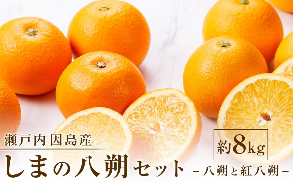 
            【先行予約】しまの八朔セット約8kg（Mサイズ程度　約30個　紅八朔と八朔）＜2025年1月下旬から発送＞【フルーツ 果物 くだもの 食品 人気 おすすめ】
          