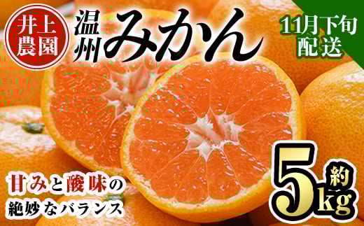 ＜先行予約受付中！11月下旬より順次発送予定＞数量限定 大分県宇佐市産 温州みかん(約5kg)みかん ミカン 蜜柑 柑橘 フルーツ 果物 くだもの 果実 国産【103610300】【井上農園】