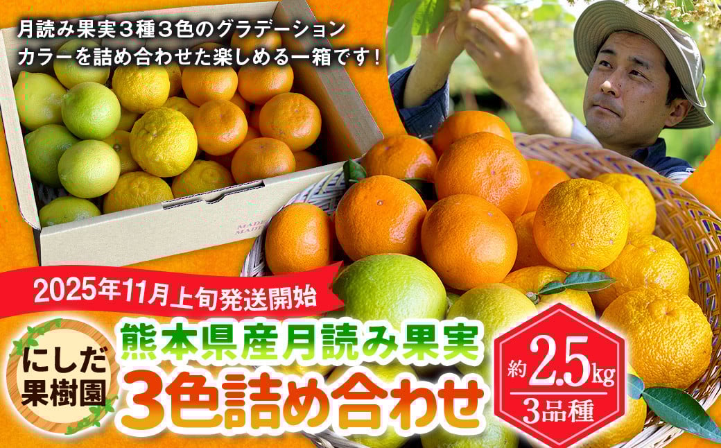 
            にしだ果樹園の熊本県産月読み果実3色詰め合わせ（3品種）【2025年11月上旬発送開始】みかん 柚子 ゆず レモン フルーツ 果物 熊本
          