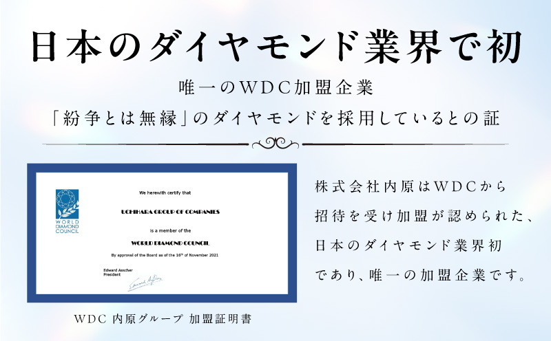 アルカンシェル プラチナダイヤバングル ダイヤ 計 0.50ct【鑑別書付き ジュエリー プレゼント ギフト ファッション アクセサリー 贈り物 贈答 お祝い 記念日】