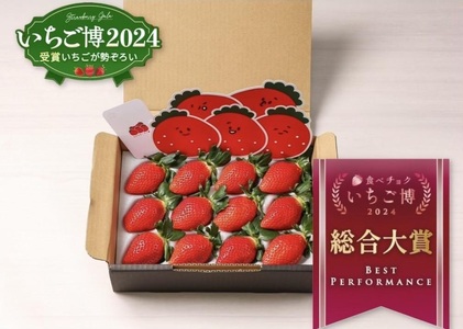 【いちご博総合大賞】やよいひめ 約400g | 苺 ストロベリー 冷蔵 甘い 新鮮 完熟 大粒 果物 フルーツ 国産  ※2026年1月上旬～4月下旬頃に順次発送予定 ※沖縄・離島への配送不可