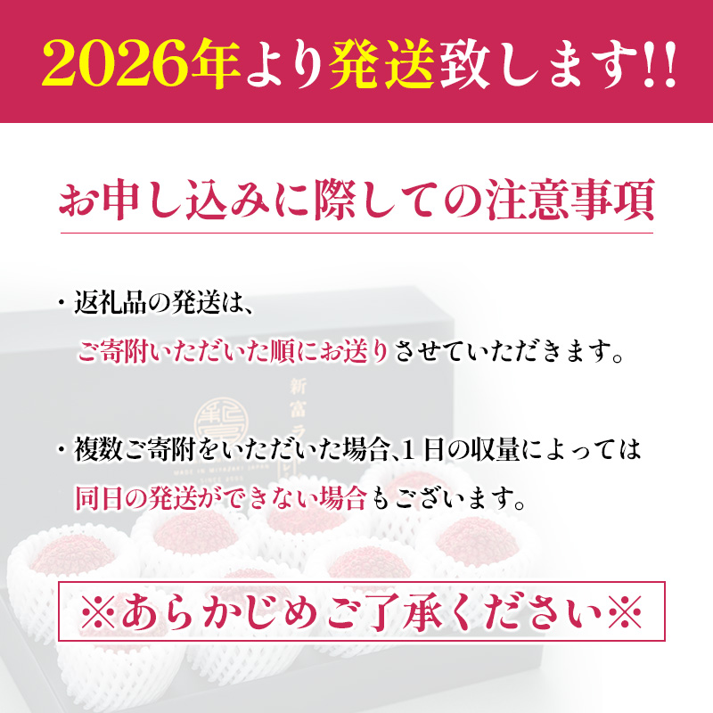 ［2026年発送］先行予約 希少！国産＜新富ライチ＞40g前後×10玉 国産 ブランド フルーツ 果物 贈答品【B120-26】_イメージ5