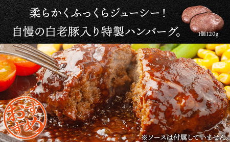【定期便 6カ月】 北海道産 白老豚 ハンバーグ 120ｇ×15個 セット BV035