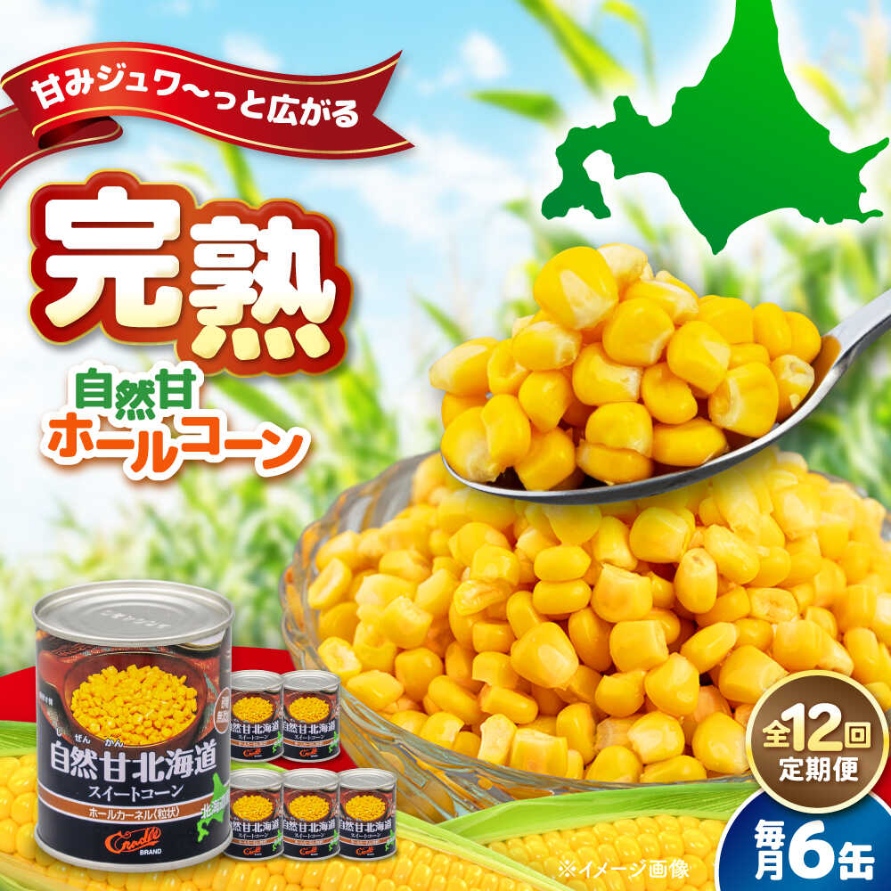 【ふるさと納税】【全12回定期便】 自然甘ホールコーン 6缶《喜茂別町》【きもべつ観光協会】 コーン コーン缶 缶 缶詰 とうもろこし トウモロコシ 北海道 常温 常温配送 定期便 定期 [AJAG034] 60000 60000円 6万円
