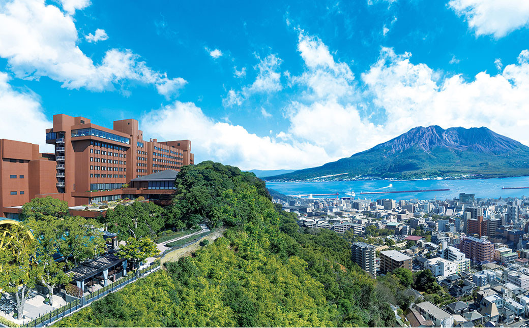 B-315 SHIROYAMA HOTEL kagoshima オリジナルカレー2種各3個　6個セット