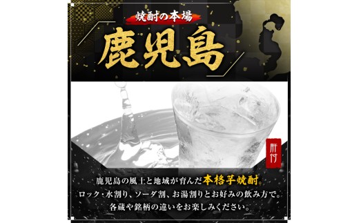 A44013 小鹿酒造 小鹿 (900ml・計2本) 鹿児島 国産 酒 アルコール 焼酎 芋焼酎 一升瓶 ロック お湯割り ソーダ割 飲み比べ 宅飲み セット ギフト 【株式会社きもつき未来商社そらま