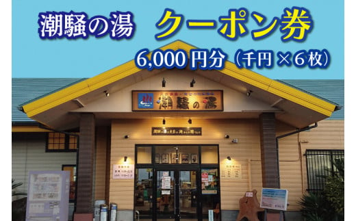 
天然温泉 潮騒の湯 クーポン券 6000円分（1000円×6枚） 露店風呂 サウナ おんせん 大洗サンビーチ 海鮮 魚介 食事 宿泊 チケット 利用券 アウトドア 旅行
