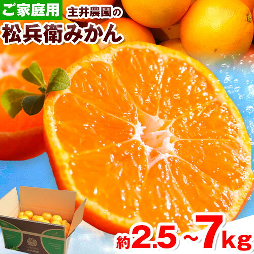 【ふるさと納税】選べる 主井農園 の 松兵衛 みかん ご家庭用 約2.5kg 約5kg 約7kg《11月中旬-1月上旬頃出荷》主井農園 みかん 和歌山県 日高町 和歌山みかん 温州みかん ミカン 蜜柑 柑橘 果物 フルーツ 家庭用 訳あり わけあり みかん