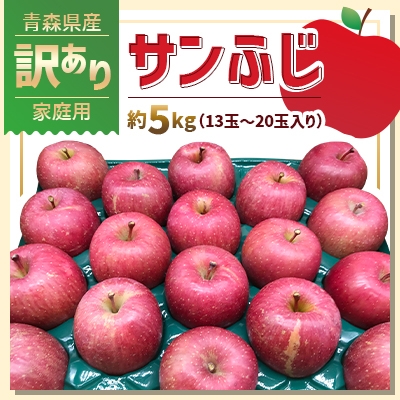 青森県産サンふじ家庭用5kg