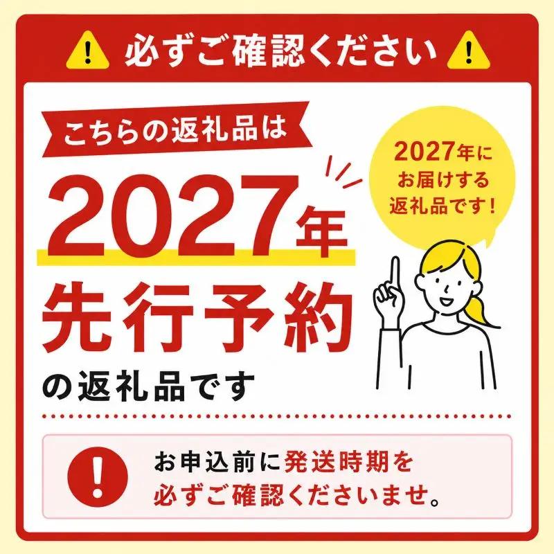 【優品】イバラキング（青肉メロン） 2玉入 青肉品種 青肉メロン！ ／ イバラキング 果物 フルーツ ギフト 農家直送 ths014_X1