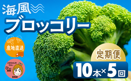 ブロッコリー 10本 ×5回お届け 豊橋 国産 ミネラルたっぷり 海風そだち 潮風 家族で 大容量 豊橋 ともちゃんのやさい 直売所で大人気！ 愛知県 豊橋市 安心野菜