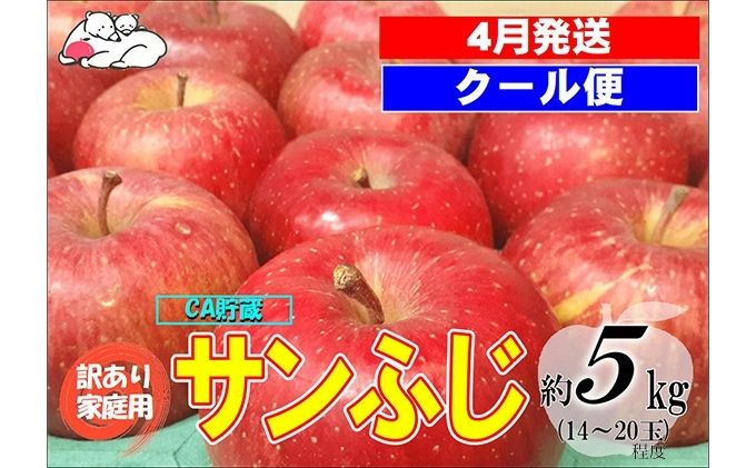 【クール便】4月発送 白熊 訳あり家庭用 サンふじ 約5kg 糖度13度【弘前市産 青森りんご・CA貯蔵】