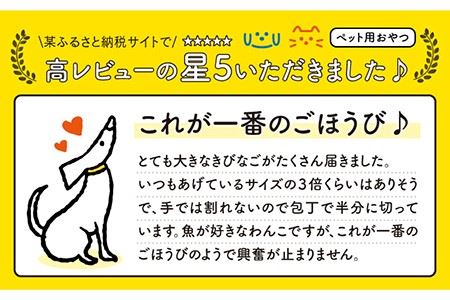 【全6回定期便】きびなごスティック8袋 犬 おやつ 国産 キビナゴ 魚 煮干し にぼし 健康 カルシウム 五島市/浜口水産 [PAI022]