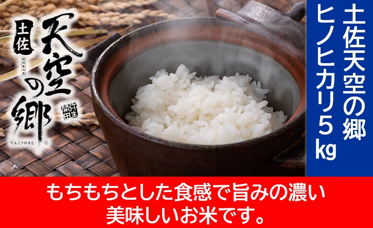 【新米予約】農林水産省の「つなぐ棚田遺産」に選ばれた棚田で育てられた棚田米　土佐天空の郷　ヒノヒカリ　5kg