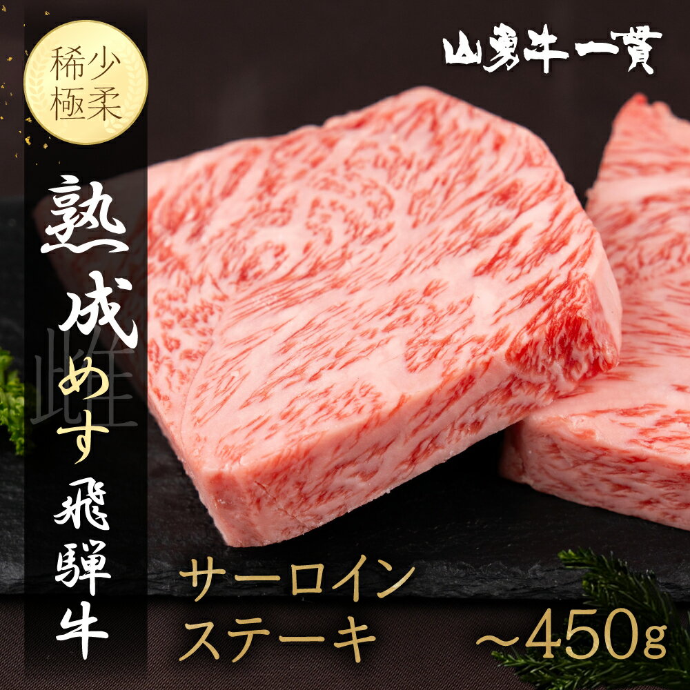 【ふるさと納税】飛騨牛 サーロインステーキ 100g×2枚 200g 100g×3枚 300g 飛騨の牧場で育った熟成『山勇牛』牛肉 和牛 サーロイン ブランド牛 和牛 ギフト A4 A5 ランクのみ 飛騨市［Q624］