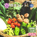 【ふるさと納税】【予約受付/2025年3月から発送】春 野菜セット C【 3ヶ月 定期便 】 10品 以上 季節 旬 春野菜 冷蔵 野菜室 ダイエット 国産 季節限定 稀少 数量限定 タラの うど こごみ うるい アスパラガス カラー 人参 菜花 ほうれん草 岩手県 北上市 H0133 P&Cリンク