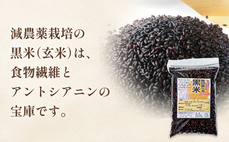 黒米＆黒米甘酒ドレッシング2本 玖珠町産 黒米 玄米 ドレッシング 甘酒 黒米ドレッシング 黒米甘酒 食物繊維 アントシアニン シンプル お砂糖不使用 お醤油不使用 大豆アレルギー対応 小麦アレルギー