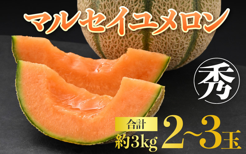 
【先行予約】佐藤農園のマルセイユメロン 約3kg前後《秀品》(2～3玉入）深みのある甘さ とろける濃厚な赤肉！農家直送 有機肥料 低農薬 ※2025年6月上旬より順次発送予定
