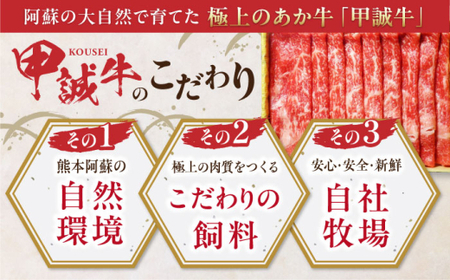 【全6回定期便】あか牛リブローススライス 約400g あか牛スライス[AYCQ096]